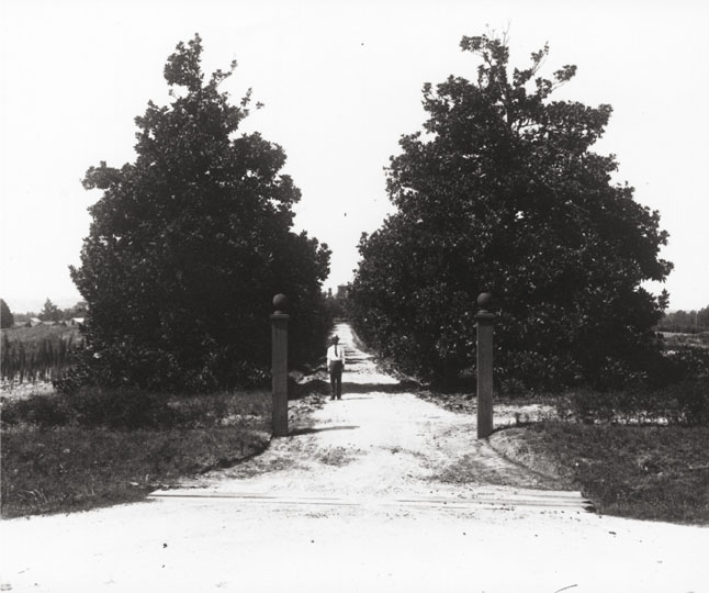 Sobre la historia de Augusta National Golf Club